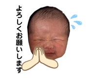 868506447