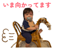 868519506