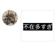 868523349