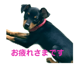 868527636
