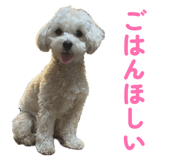 868528696