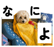 868528699