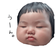 868530220