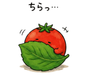 868535934