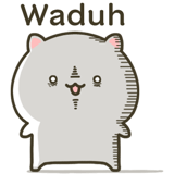 868560155