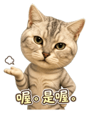 868576472