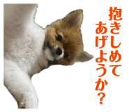 868581467