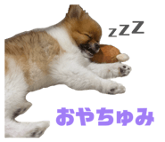 868581468