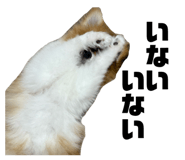 868581469