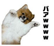 868581470