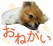 868581478