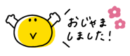 868654449