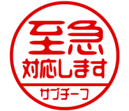 868675295