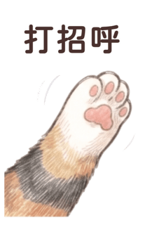 868708777