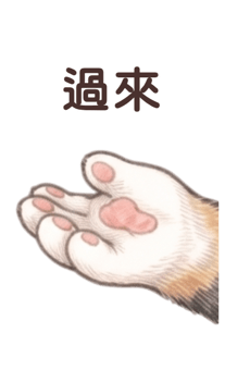 868708793