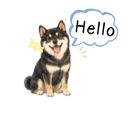 868728551
