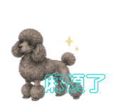 868728556