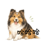 868728557