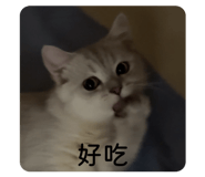 868734082