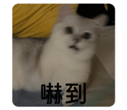 868734084