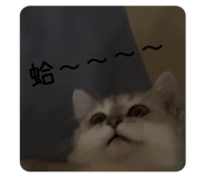 868734088