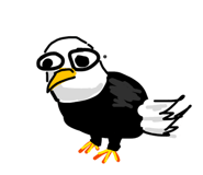 868734243
