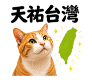 868756210