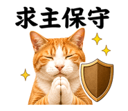 868756222