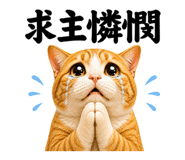 868756223