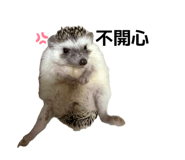 868766978