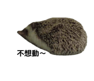 868766980