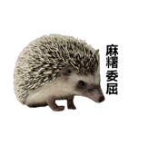 868766984