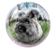 868767947