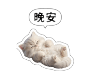 868768347