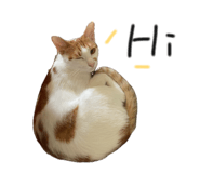 868770835