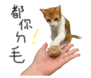 868770847