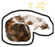 868770854