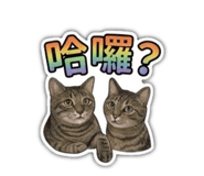 868771320