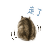 868771951