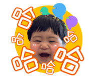 868775737