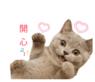868780357