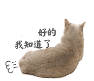 868780366