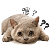 868780370