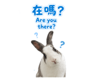 868780662
