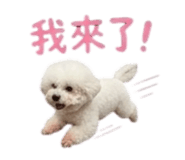 868780707