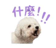 868780710