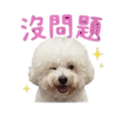 868780711