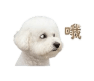 868780713