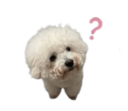 868780721