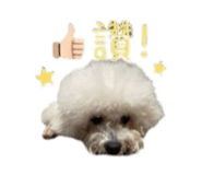868780724
